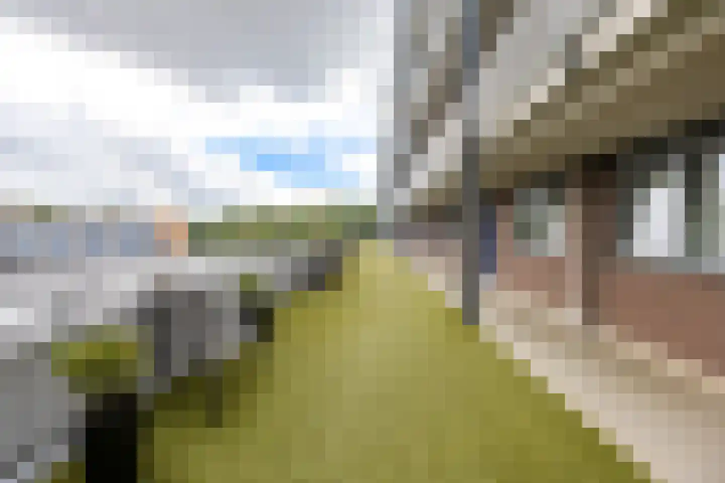 Diamantlaan 45 13 Groningen thumbnail 38