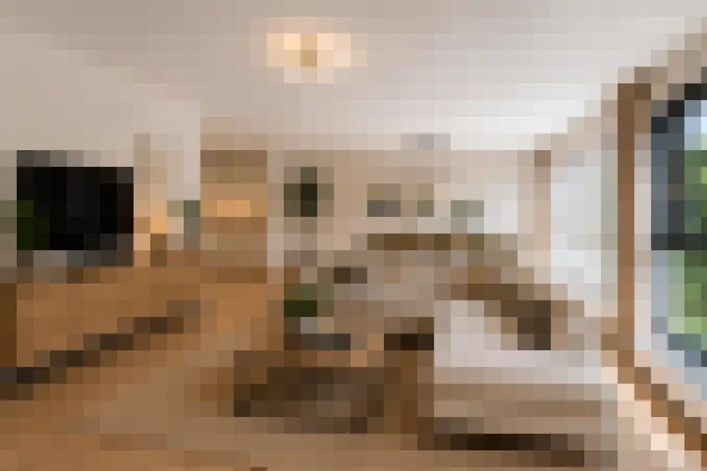 Diamantlaan 88 Leiden thumbnail 19