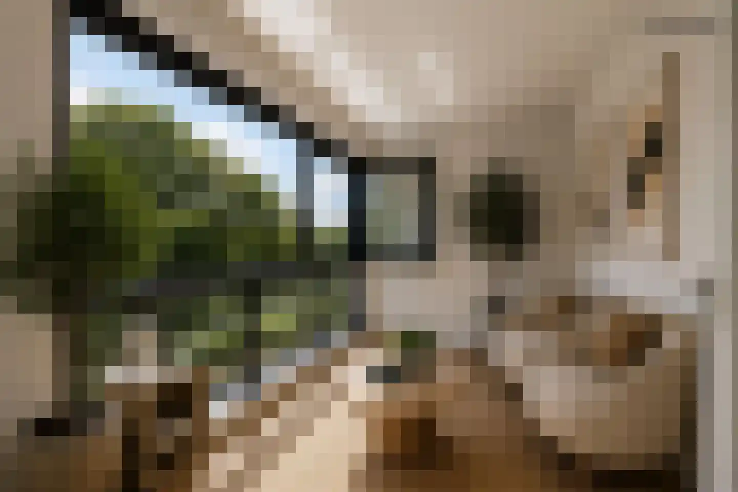 Diamantlaan 88 Leiden thumbnail 27