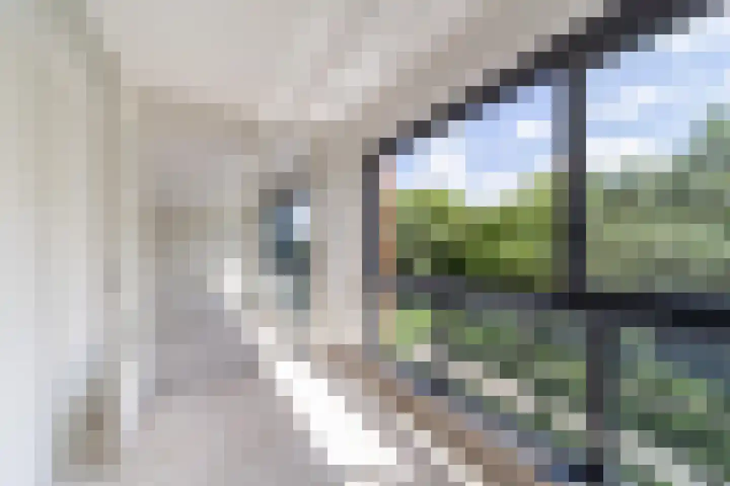 Diamantlaan 88 Leiden thumbnail 28