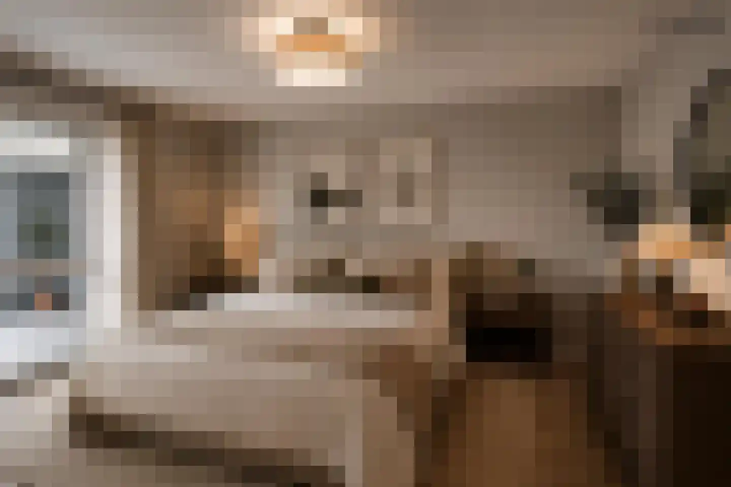 Diamantlaan 88 Leiden thumbnail 33