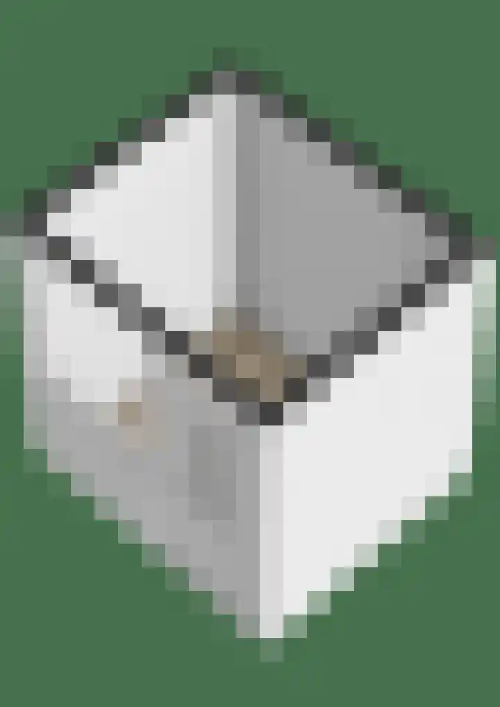 Diamantpad 7 Delft thumbnail 13