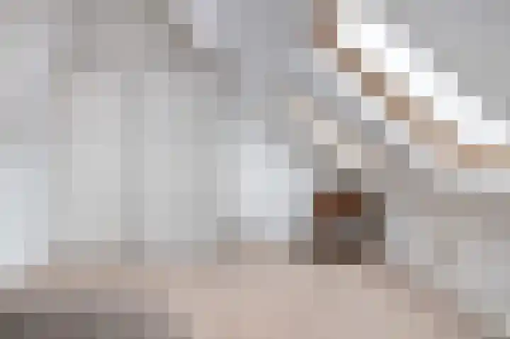 Diamantplein 15 Hoorn thumbnail 25
