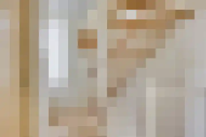 Diamantring 112 Eindhoven thumbnail 19