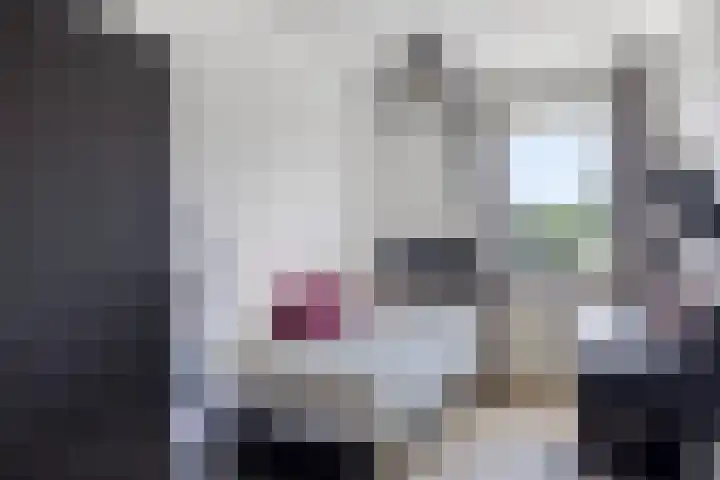 Diamantring 18 Eindhoven thumbnail 21