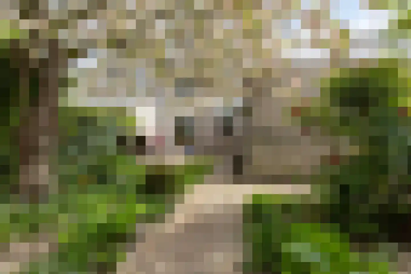 Diamantring 7 Eindhoven thumbnail 27