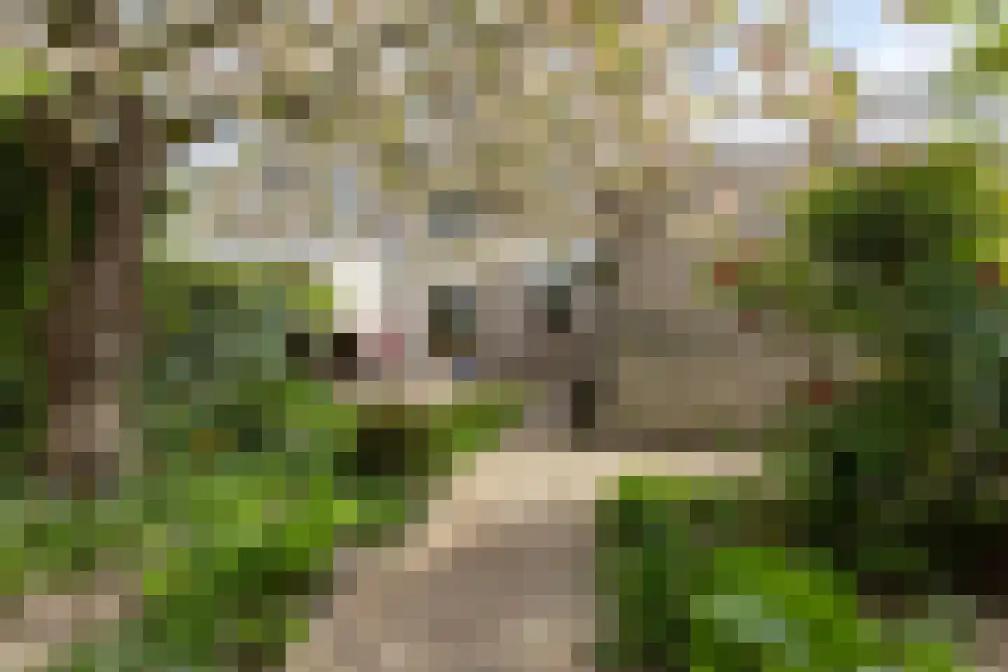 Diamantring 7 Eindhoven thumbnail 30
