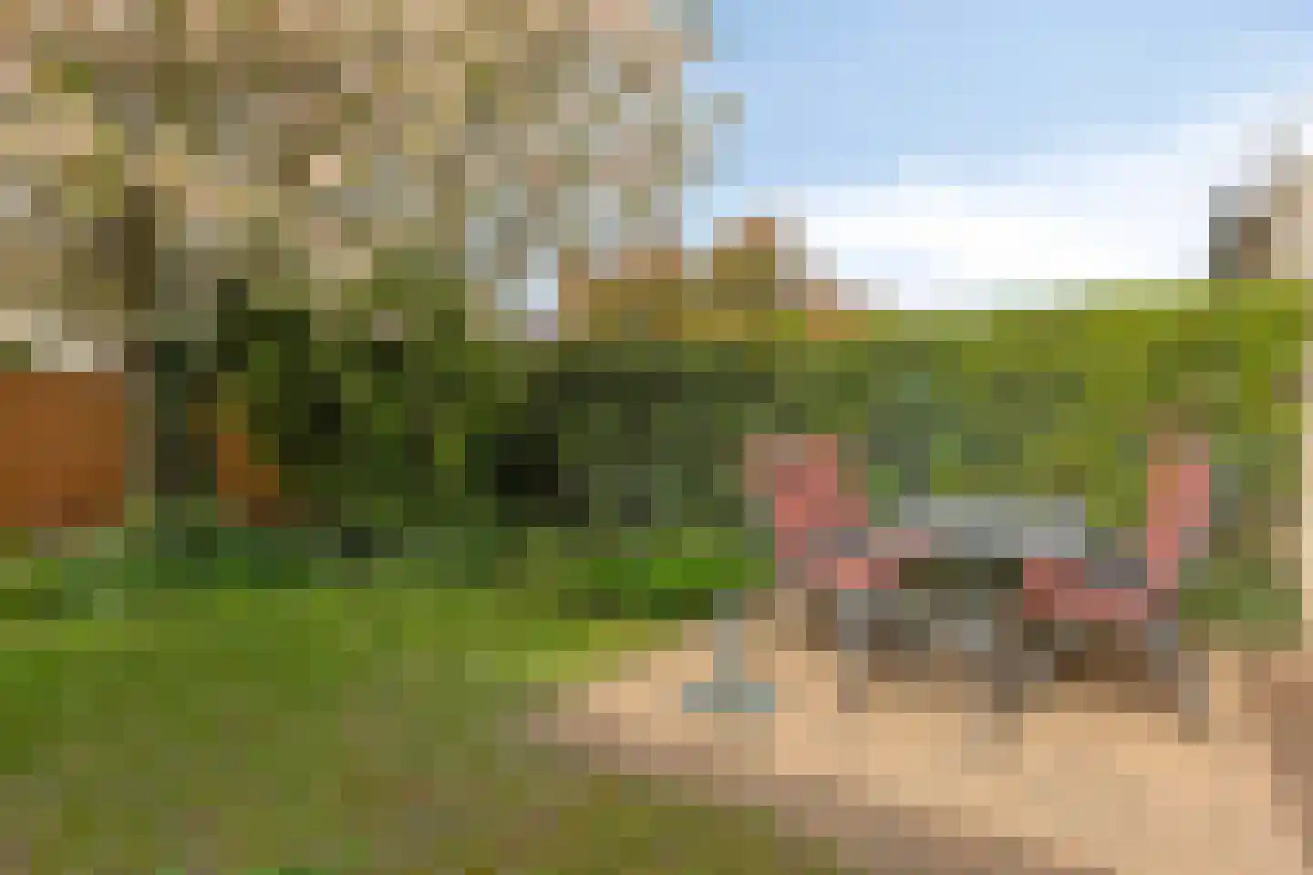 Diamantring 7 Eindhoven thumbnail 5