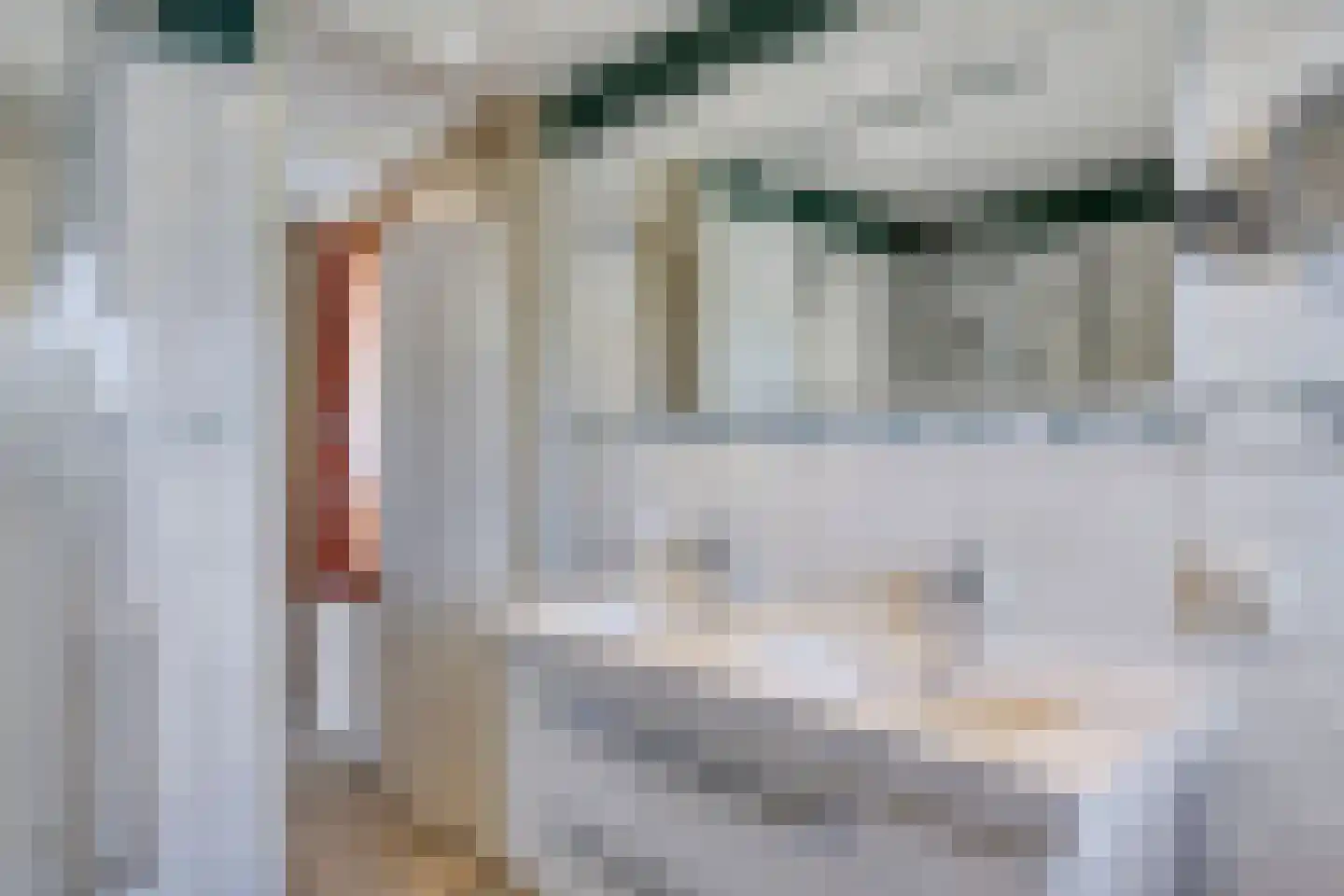Diamantsingel 22 Terneuzen thumbnail 20