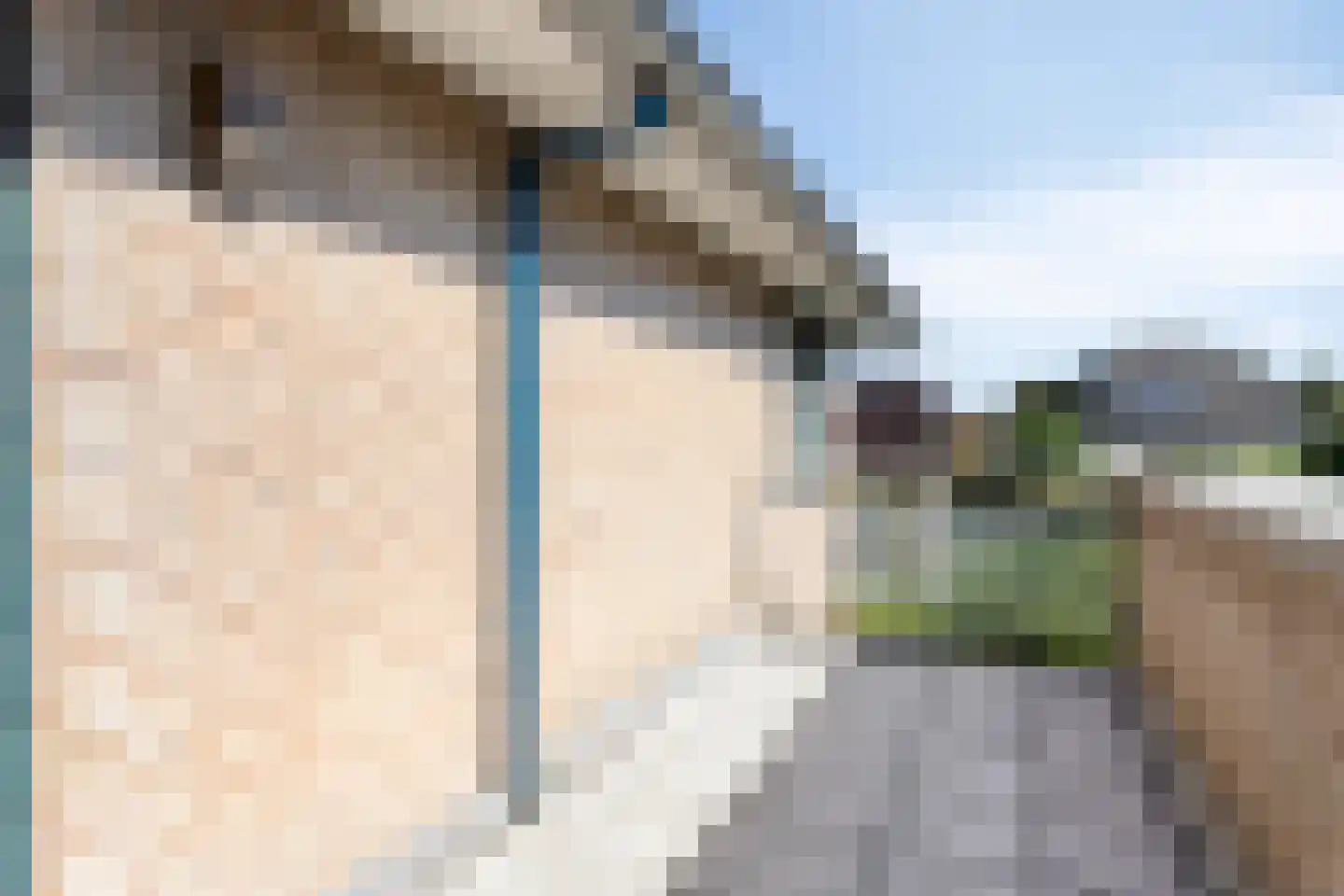 Diamantsingel 22 Terneuzen thumbnail 23