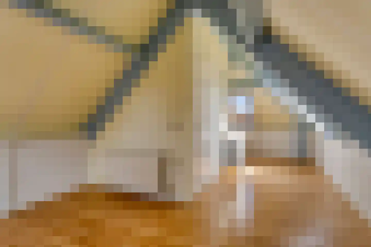Diamantsingel 22 Terneuzen thumbnail 26