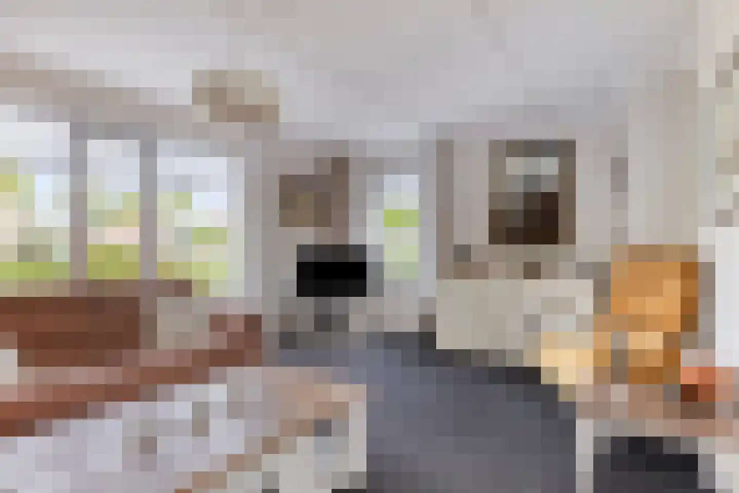 Diamantsingel 6 Terneuzen thumbnail 12