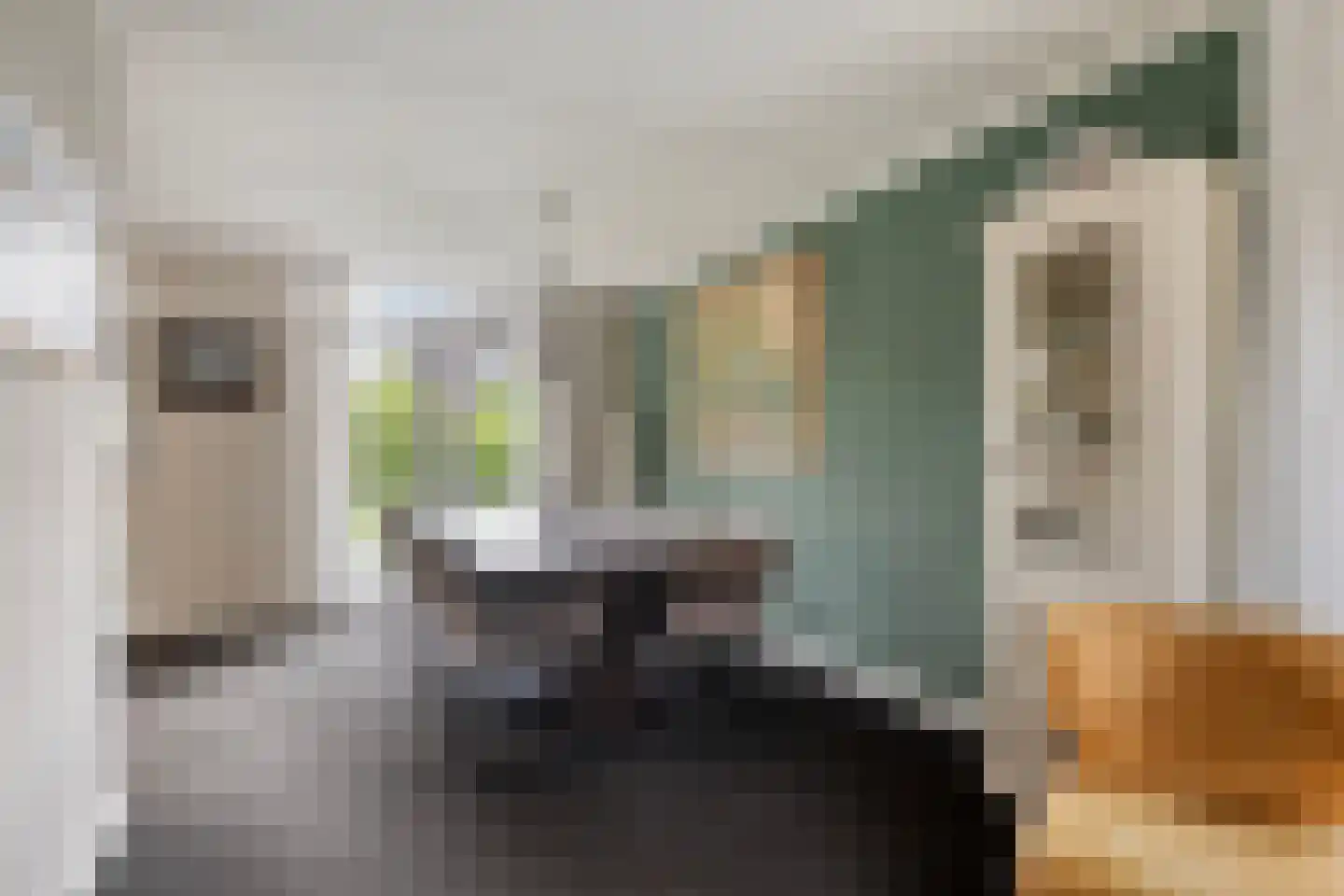 Diamantsingel 6 Terneuzen thumbnail 14