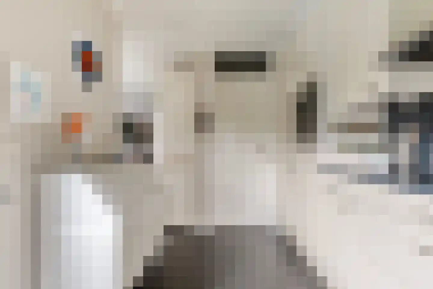 Diamantsingel 6 Terneuzen thumbnail 19