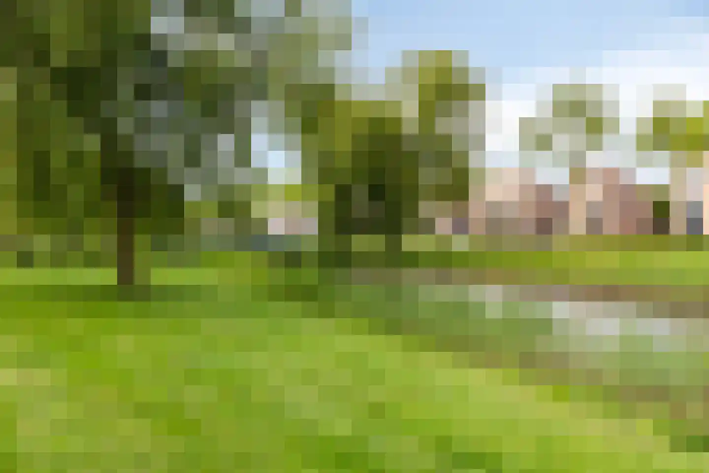 Diamantsingel 6 Terneuzen thumbnail 39