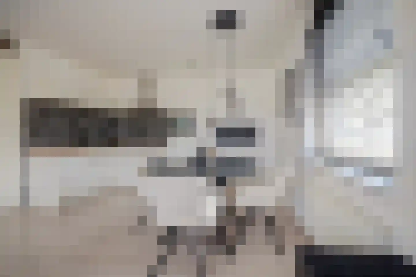 Diamantslijper 14 Zeewolde thumbnail 10