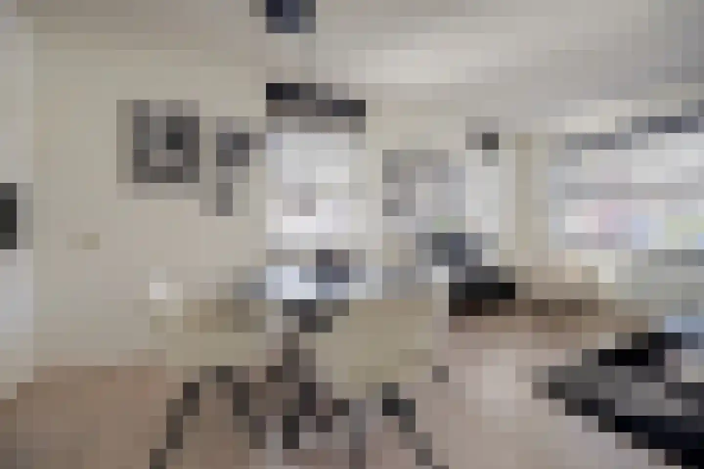 Diamantslijper 14 Zeewolde thumbnail 11