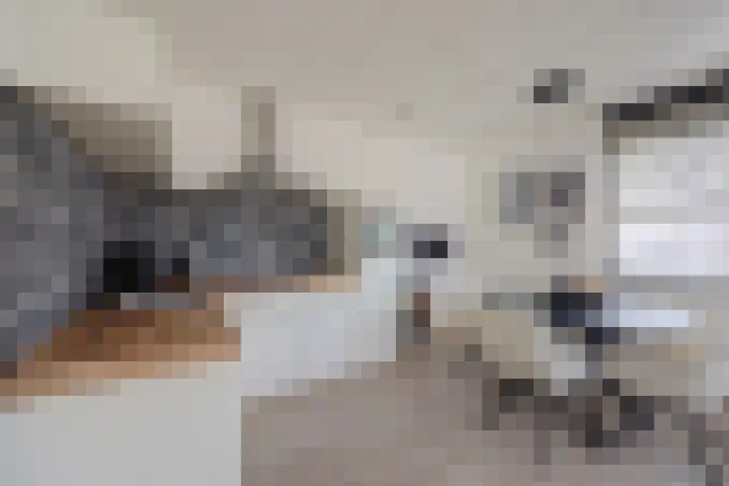 Diamantslijper 14 Zeewolde thumbnail 12