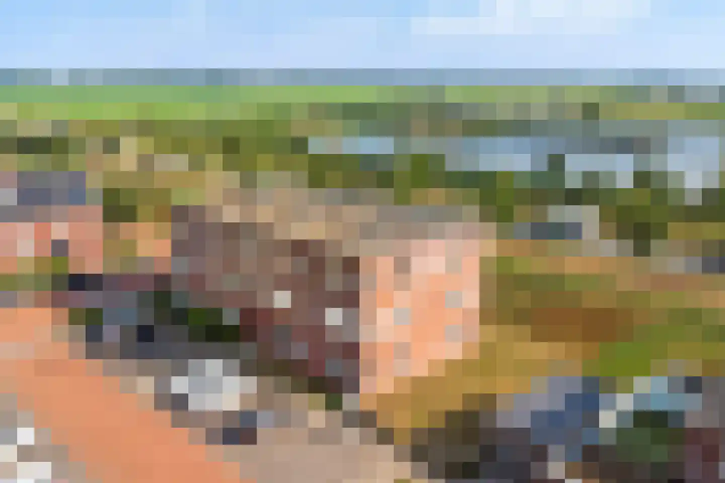 Diamantslijper 14 Zeewolde thumbnail 29