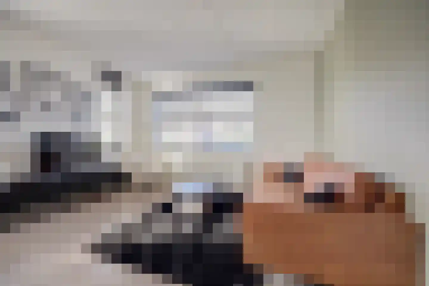 Diamantslijper 14 Zeewolde thumbnail 5