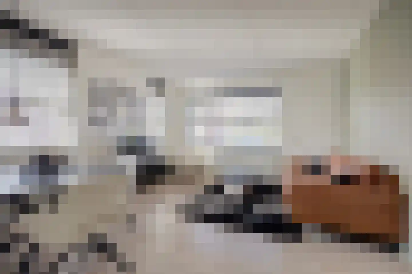 Diamantslijper 14 Zeewolde thumbnail 8