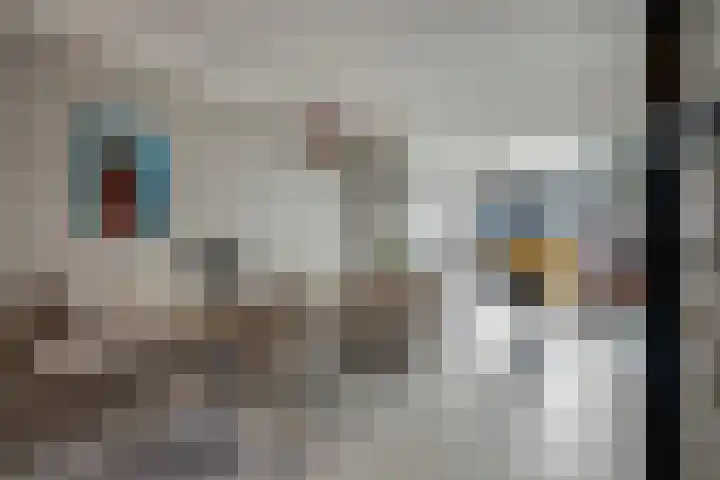 Diamantstoep 21 Assen thumbnail 13