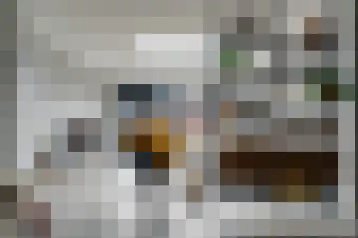 Diamantstoep 21 Assen thumbnail 15