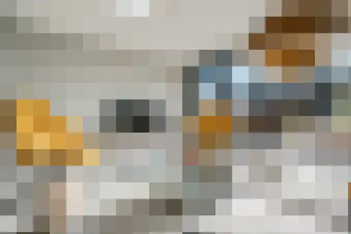 Diamantstoep 21 Assen thumbnail 18