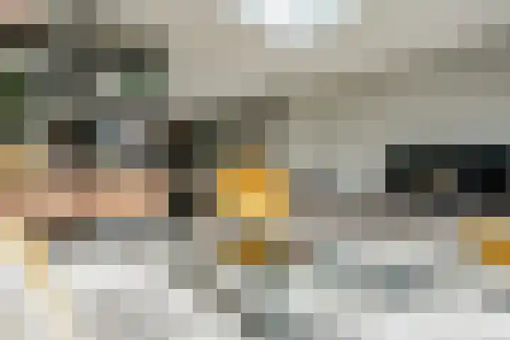 Diamantstoep 21 Assen thumbnail 19