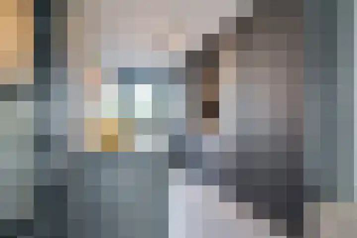 Diamantstoep 21 Assen thumbnail 26