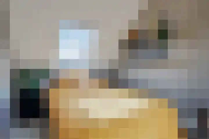 Diamantstoep 21 Assen thumbnail 39