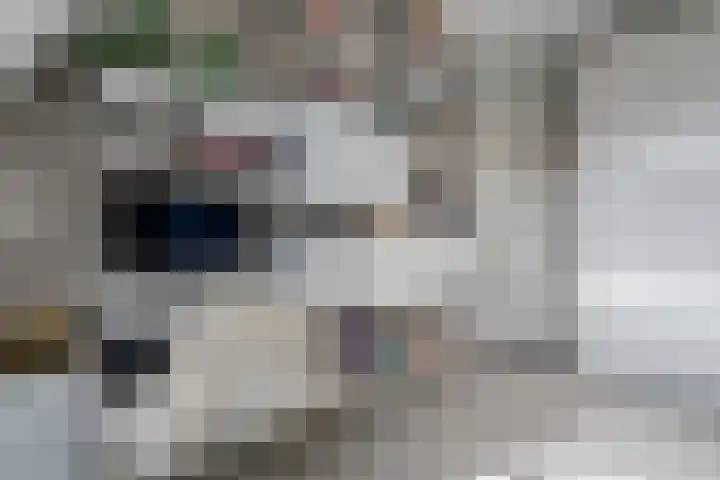 Diamantstoep 21 Assen thumbnail 42