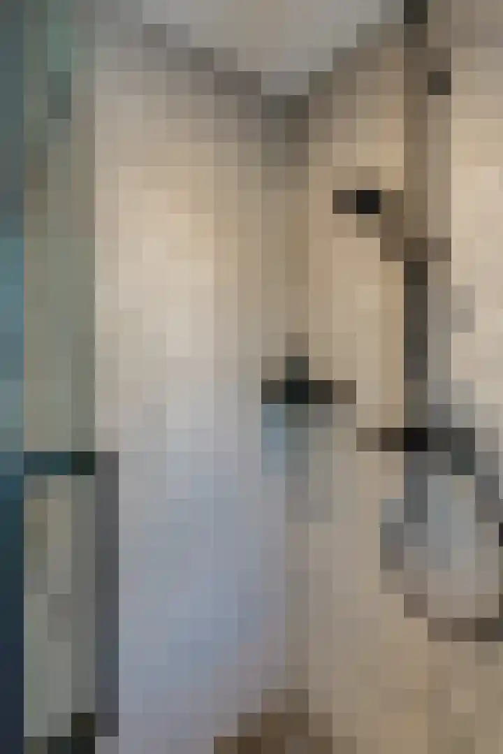 Diamantstoep 21 Assen thumbnail 48
