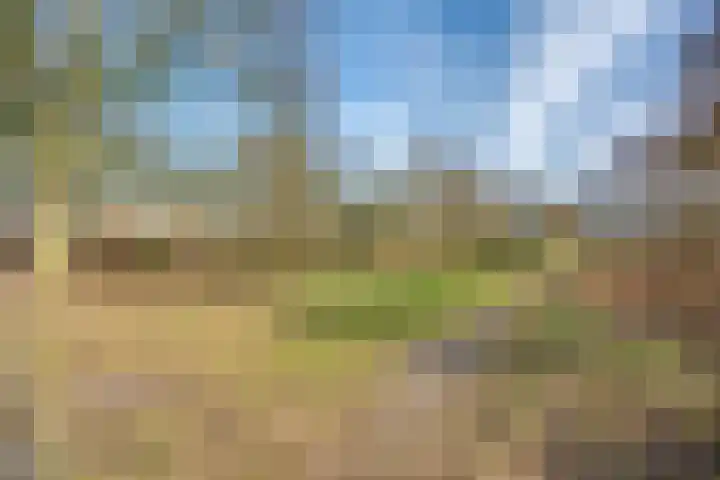 Diamantstoep 21 Assen thumbnail 5