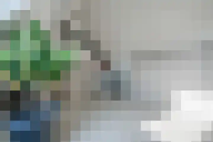 Diamantstoep 21 Assen thumbnail 52