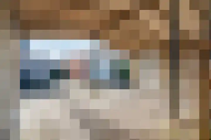 Diamantstoep 21 Assen thumbnail 54