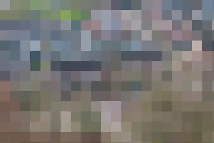 Diamantstoep 21 Assen thumbnail 59