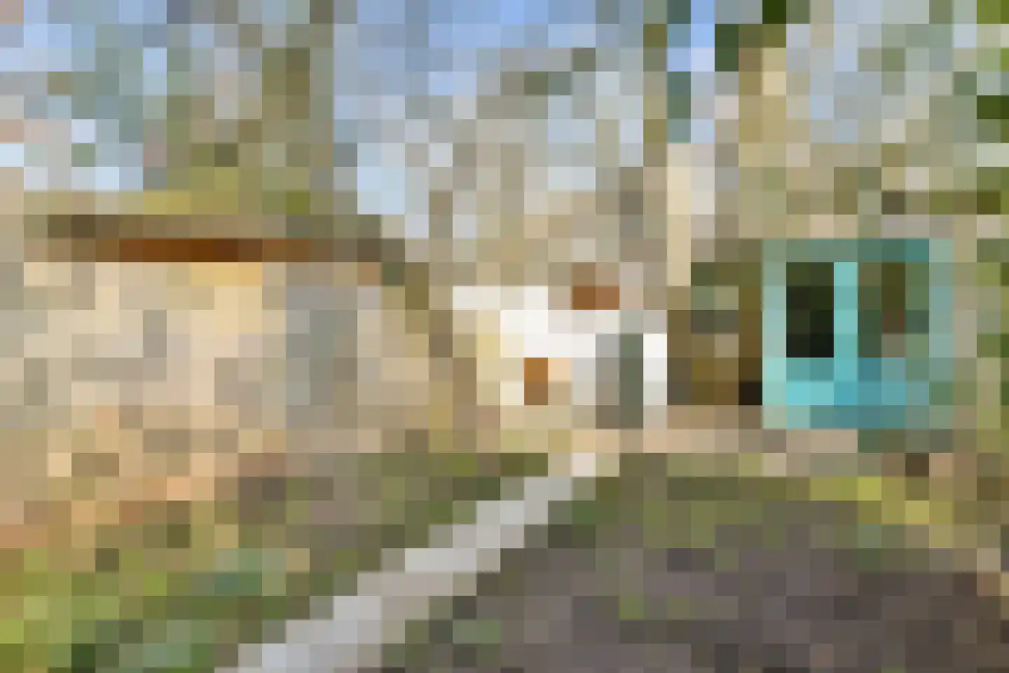 Diamantstraat 13 Amsterdam thumbnail 13