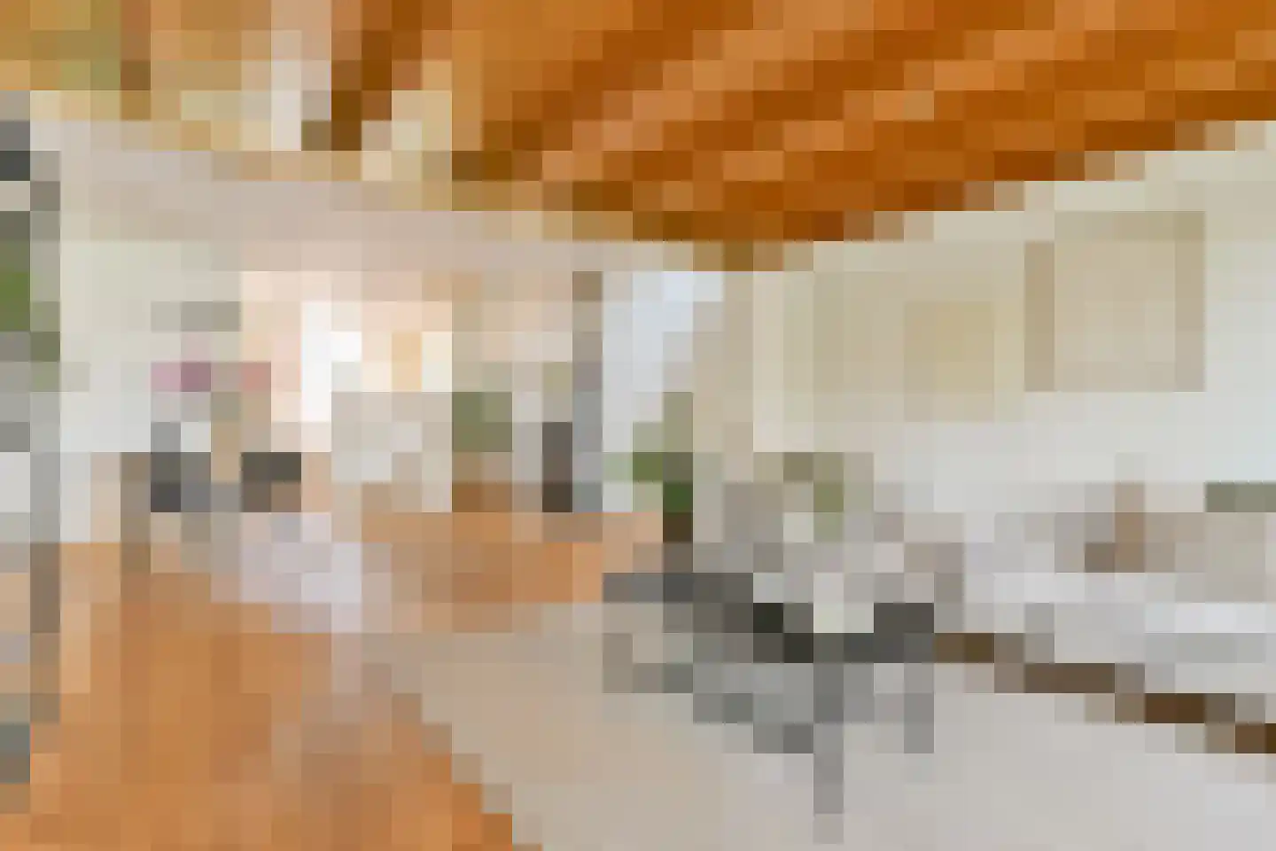 Diamantstraat 13 Amsterdam thumbnail 6