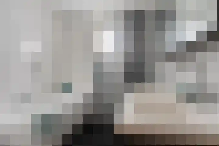Diamantstraat 13 Helmond thumbnail 20