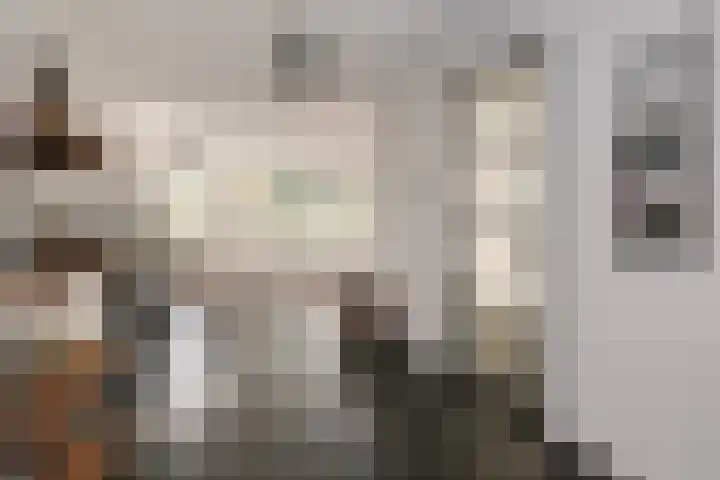Diamantstraat 20 Almelo thumbnail 11