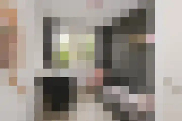 Diamantstraat 20 Almelo thumbnail 25