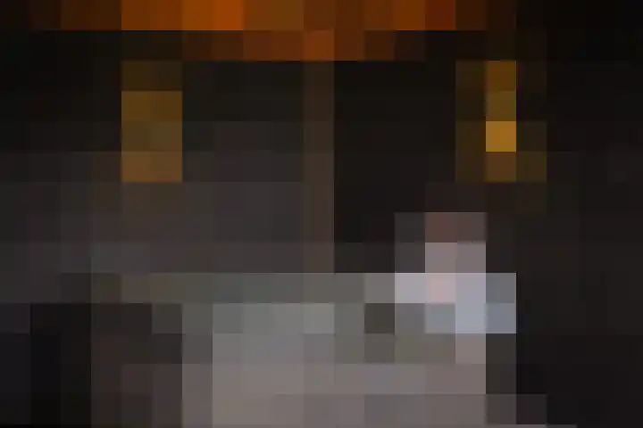 Diamantstraat 20 Almelo thumbnail 38
