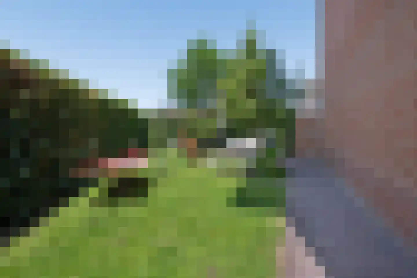 Diamantstraat 21 Ede thumbnail 4
