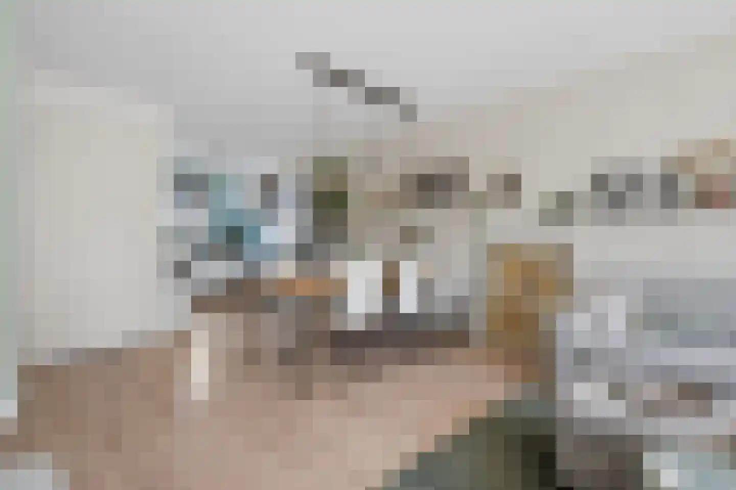 Diamantstraat 21 Ede thumbnail 7