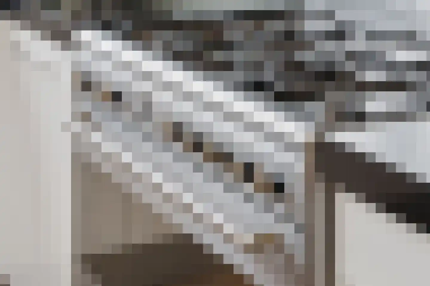 Diamantstraat 21 Ede thumbnail 9