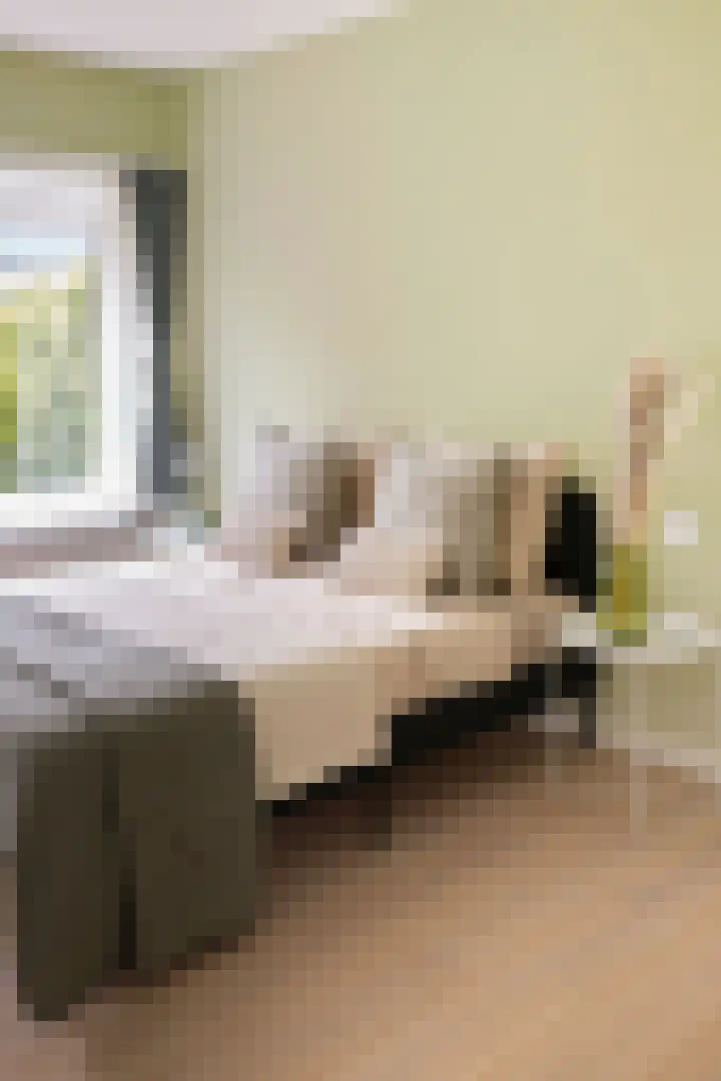 Diamantstraat 26 3 Amsterdam thumbnail 26