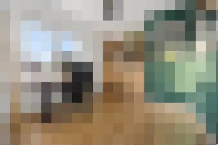 Diamantstraat 3 Nijmegen thumbnail 20