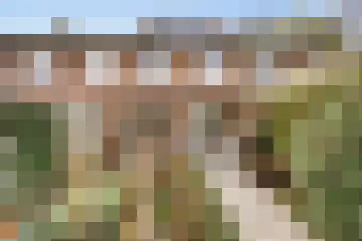 Diamantstraat 3 Nijmegen thumbnail 30