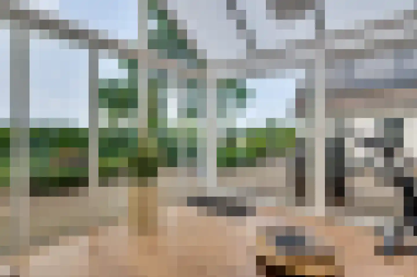 Diamantstraat 36 Neeritter thumbnail 18